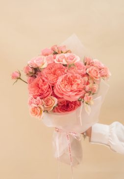 IMG_3129